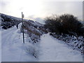 Llwybr Ceffyl Cwmcerdinen Bridleway