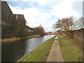 Towpath Scene