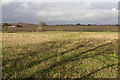 Farmland near Norton