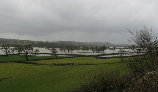 flood plain