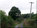 H7302 : Derelict cottage at a T-junction in Derry TD by Eric Jones