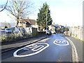 Mascalls Road - new speed markings