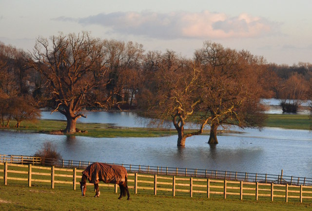 Horse grazing above flooded meadows, Whitchurch-on-Thames, Oxfordshire