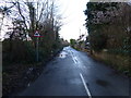 SU9302 : Shripney Lane looking eastwards by Shazz