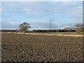 SE5052 : Ploughed field with lone tree by Trevor Littlewood