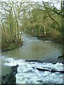 River Leven above Hutton Rudby