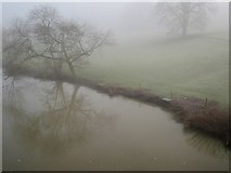 SP3065 : River Avon by Jephson's Farm, Warwick 2014, misty January 21, 09:26 by Robin Stott