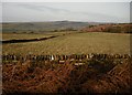 Dry stone wall on Howdale Moor & Brow Moor Open Access trail