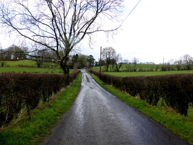Dryarch Road, Donaghanie