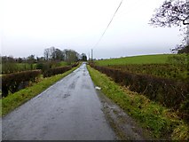 H5171 : Crocknacor Road, Lisboy by Kenneth  Allen