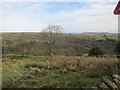 Steep moorland valley above Upper Elkstone