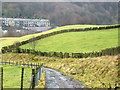 Vaccary walling on the south side of the Rossendale Valley