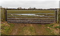 Field gate on the west side of railway lines in Stonehouse