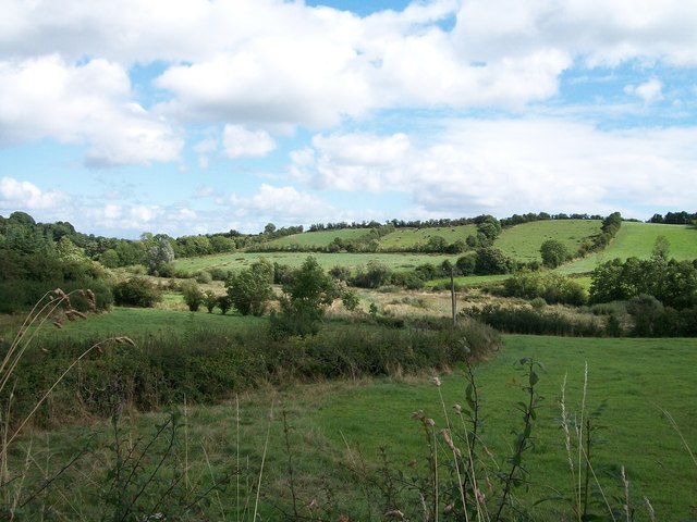 Inter-drumlin wetland in Clonraw TD