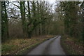 Road past Haugham Pasture to the A16