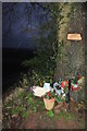 Mid Devon : Tree & Memorial Plaque