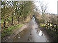 Albury: Lane to Upwick Green