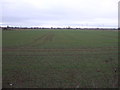 Crop field north of the A18