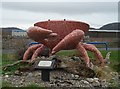 Mr. Nipper the Abergele crab