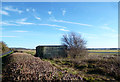 Hut by the Hedge