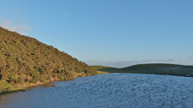 Hill pond, Riccarton Hills