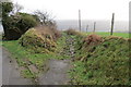 Llwybr Ceffyl Gellionnen bridleway