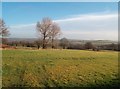 Countryside near Woodlinkin