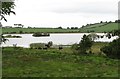 H6405 : Cattle grazing on the southern shore of Corraneary Lough by Eric Jones