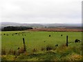 Altishane Townland