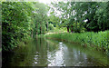 Droitwich Barge Canal near Hawford, Worcestershire