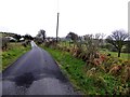 Rouskey Road, Lisnaragh Irish