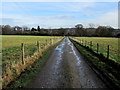 Access Lane to Beech House