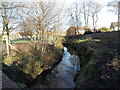 Reen on the north side of Lighthouse Road, Duffryn, Newport