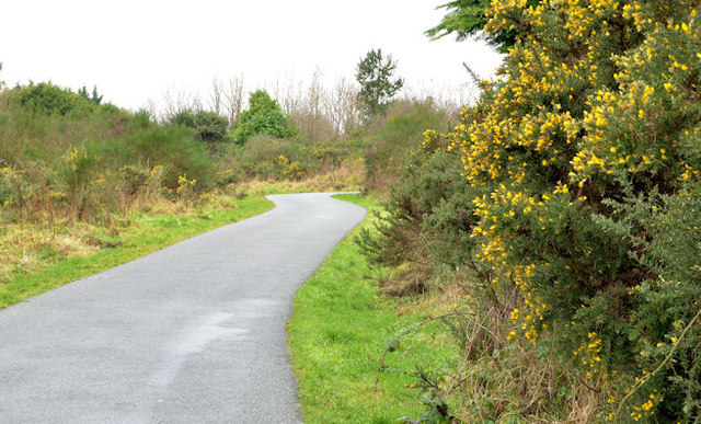 The Comber Greenway, Dundonald (7)