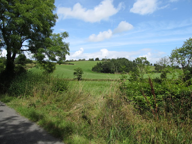 Grazing land and woodland in the Co... © Eric Jones :: Geograph Britain ...