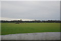 Farmland south of Dunkirk Farm