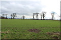 Farmland near Fairlees