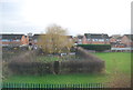 Vegetable patch by the West Coast Main Line