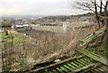 Allotments, Castleford