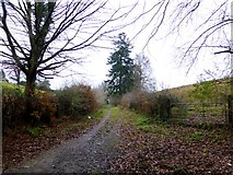 H4672 : Winters Lane, Omagh by Kenneth  Allen