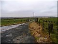 Farm track running south-west from Long Causeway