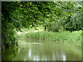 Droitwich Barge Canal near Hawford, Worcestershire