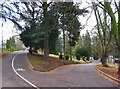 Road junction in Brinton Park, Kidderminster