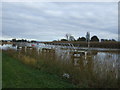 The River Trent at Derrythorpe