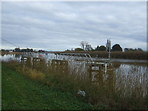 SE8308 : The River Trent at Derrythorpe by JThomas