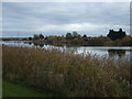 The River Trent at Althorpe