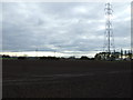 Farmland, Brumby Common West