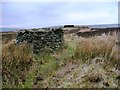 Grouse butts on Roms Greave Hill