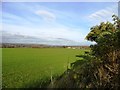 View northwest from Back Lane, Great Lumley