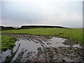SE0142 : Muddy field entrance near Sutton Stoop by Christine Johnstone